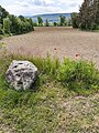 Oldendorf (Salzhemmendorf) im Mai mit Blickrichtung zur Saale und Kahnstein