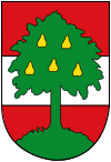 Wappen von Dornbirn