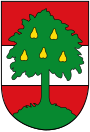 Dornbirn – znak