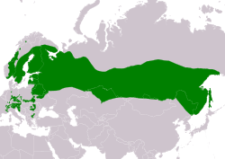 Distribución de Glaucidium passerinum