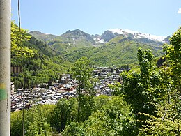 Limone dall'alto.JPG