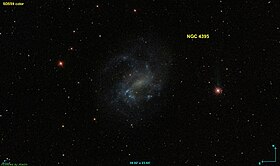 Image illustrative de l’article NGC 4395