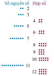 Groups of two to twelve dots, showing that the composite numbers of dots (4, 6, 8, 9, 10, and 12) can be arranged into rectangles but the prime numbers cannot