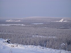 Jogen bassein Verhojanskanno