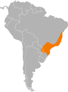 Distribuição do macuco