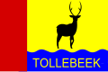 Vlag van Tollebeek