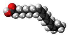 Alpha-Parinaric-acid-3D-spacefill.png