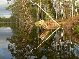 Image illustrative de l’article Lac Meelva