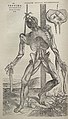 Image 40Vesalius's intricately detailed drawings of human dissections in Fabrica helped to overturn the medical theories of Galen. (from Scientific Revolution)