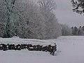 near Amery on a winter morning