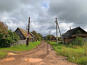 Жилые дома в селе