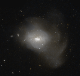 NGC 3597