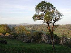 Ruines du château fort.