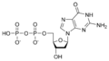 دئوکسی گوانوزین دی فسفات