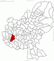 Location in Mureș County