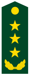 上将