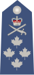 Canada Air Force, Général