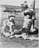 Navajobaby i tradisjonell cradleboard («vuggebrett») i Window Rock i Arizona i USA i 1936.