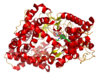 The structure of neprilysin, a zinc metalloprotease.