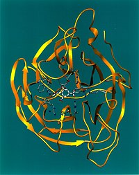 Tjodimensionoale Bielde fon de Neuraminidase (de:Neuraminidase)