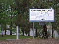 Carcoar wetland, 2007.