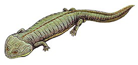 Dvinosaurus primus