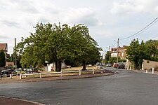 Rue des Molléons.