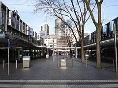 esplanade bordé par des arbres à droite et gratte-ciel en arrière-plan