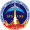 STS-133 emblem