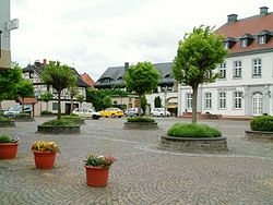 Skyline of Dirmstein