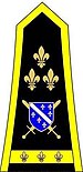 General-pukovnik