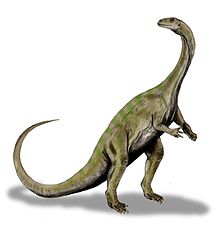 Massospondylus BW.jpg