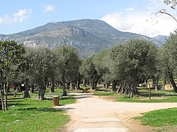 Mont Agel z francouzského pobřeží