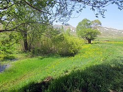 Landscape near Chanaghchi