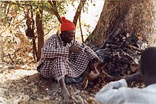 un homme assis au pied d'un arbre