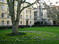 Third Court: Chancellor's Building - Y Block on L, Stevenson Building on R