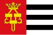 Vlag van Drachten