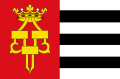 Vlag van Drachten