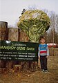 Pomnik największego wówczas (1977) grzyba na świecie w Piotrkowicach koło Tarnowa w Małopolsce (stan około 1996 r.)