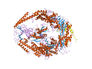 2o8d: human MutSalpha (MSH2/MSH6) bound to ADP and a G dU mispair