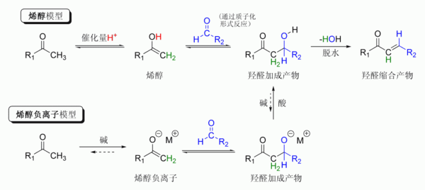 羟醛反应的概括