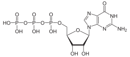 Structuurformule van guanosinetrifosfaat