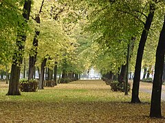 L'esplanade et ses alignements de tilleuls.