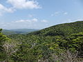 網野子峠（名瀬方面）