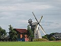 Wallholländer in Bierde