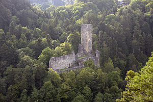 Blick uf di Burgruine Wiiladinge