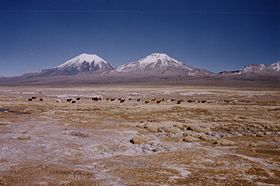 Le Pomerape (à droite) et le Parinacota (à gauche).