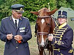 Generalmajor Sandqvist inspekterar husaren Anette Welanders häst i samband med Generalinspektion av Hvetlanda skvadron 2005.