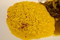 Risotto milanese con ossobuco