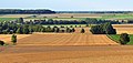 Het vruchtbare lösslandschap, hier bij Hallerburg